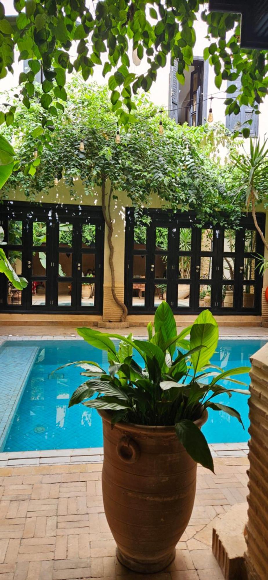 Riad Dar Haven Tamraght Eksteriør bilde